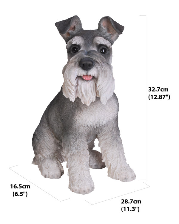 Toy parti hot sale schnauzer